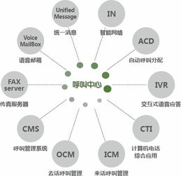 鹏为软件 以中国CRM第一品牌，重塑品牌管理新高度