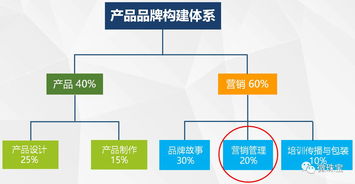 青宝会到访缘与美，共鉴产品品牌营运智慧